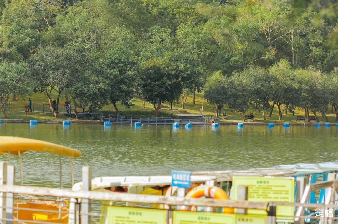 莲花山公园网红打卡地,即墨莲花山公园网红打卡地