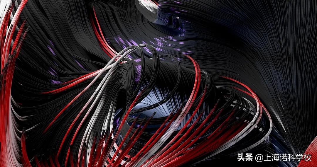 max老师讲课,max老师演讲