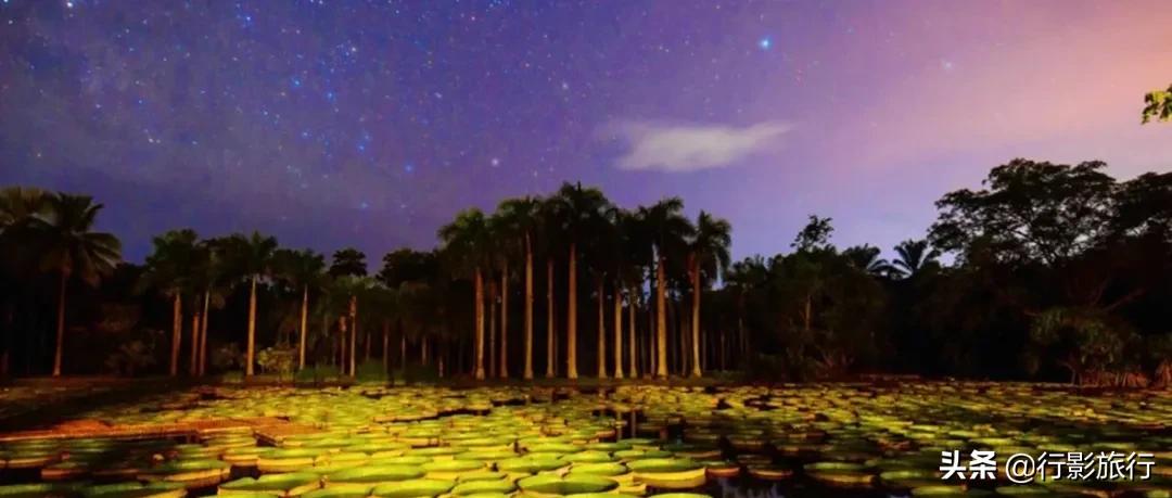 云南的西双版纳州怎么样,云南西双版纳景区怎么样