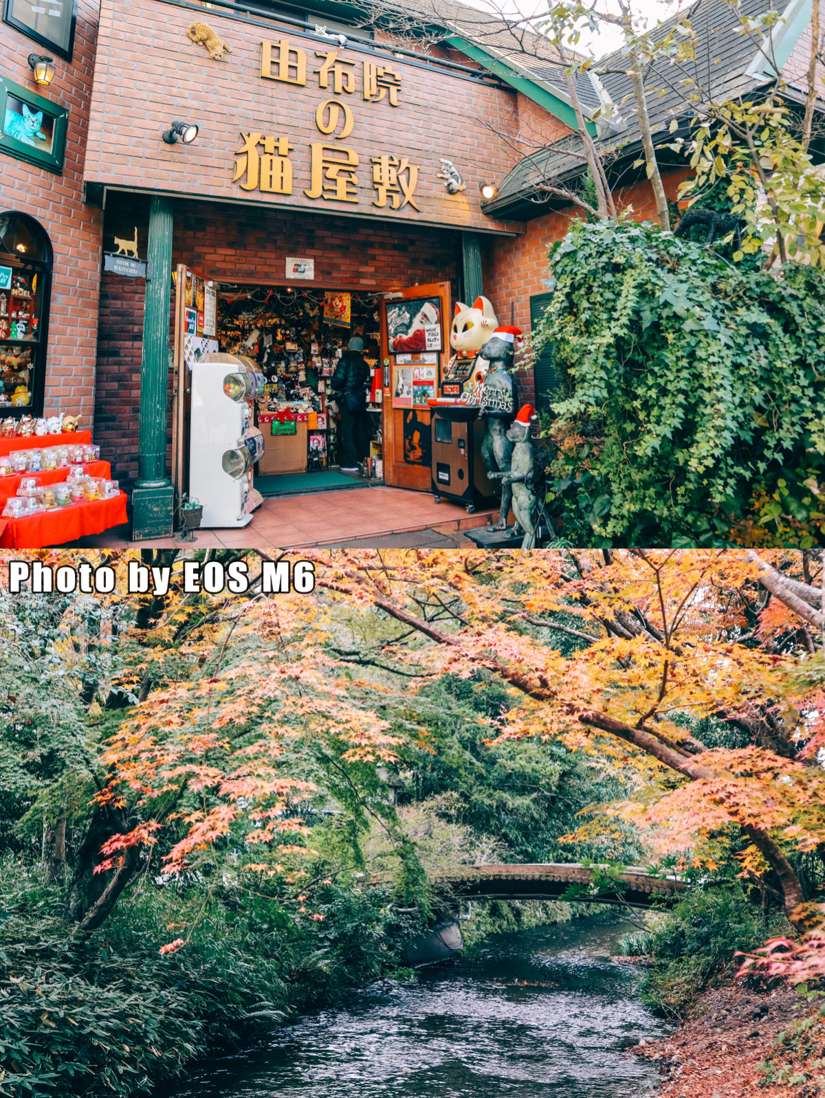 日本九州温泉旅游攻略,日本温泉大攻略