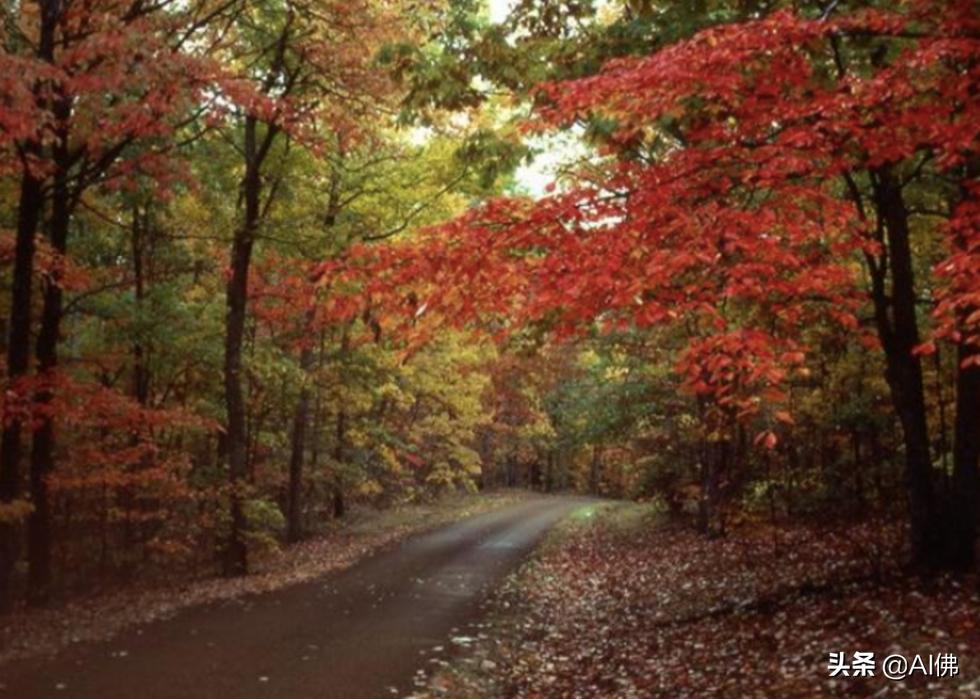 美国十大适合居住的州,美国每个州最佳居住地