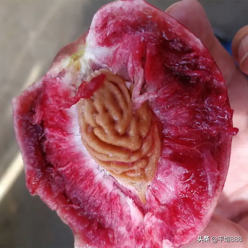 含铁之王的水果排名,含铁量水果之首