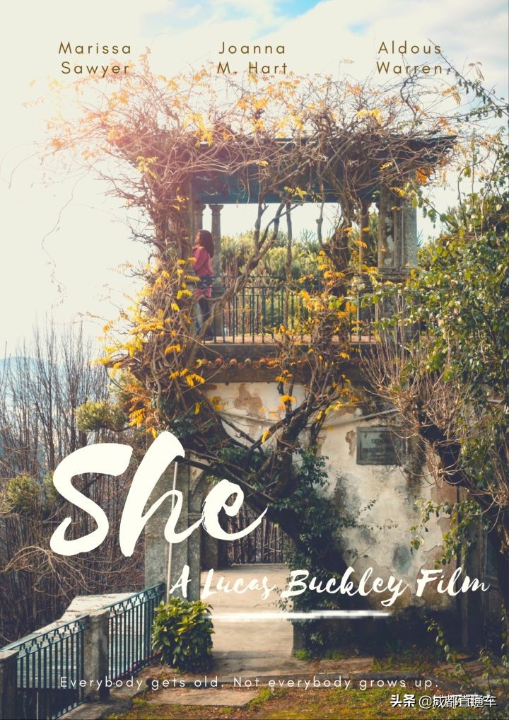 2019你都拍过什么,2019年最怀念的照片