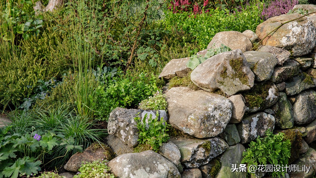 2023年切尔西花展各个花园的介绍,切尔西花展最佳花园