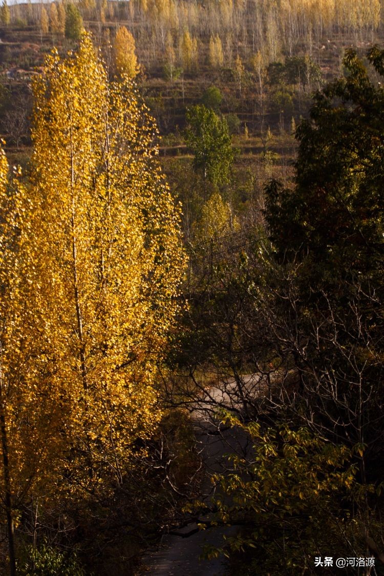 巩义最美乡村,巩义最美乡村游玩好去处