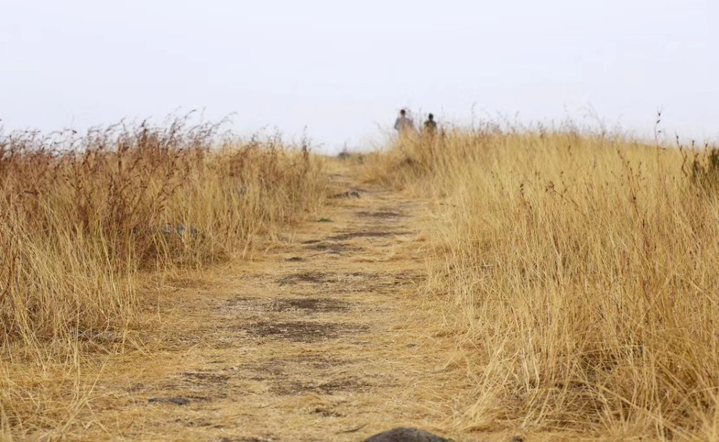 上台讲故事的淘淘大哭到大队委竞选的侃侃而言，引导帮助孩子改变