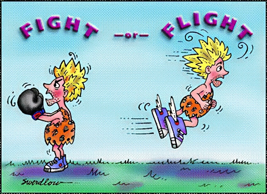 为什么猫狗会有尴尬期,猫狗相遇为啥互相都吓得要死