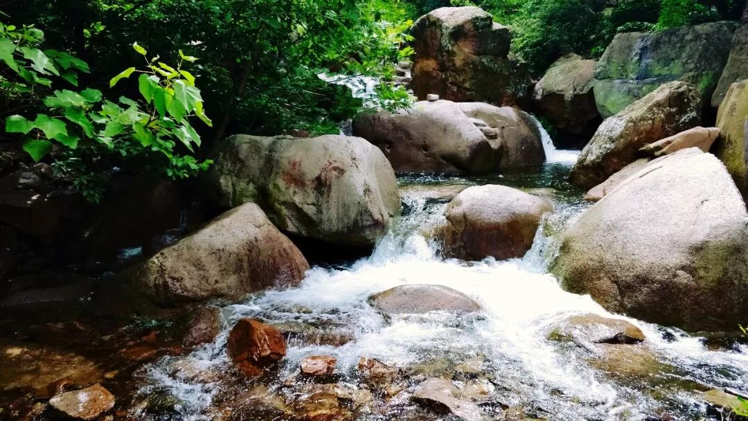 媲美四川九寨沟！山东这些地方野趣十足，承包夏天90%的清凉！
