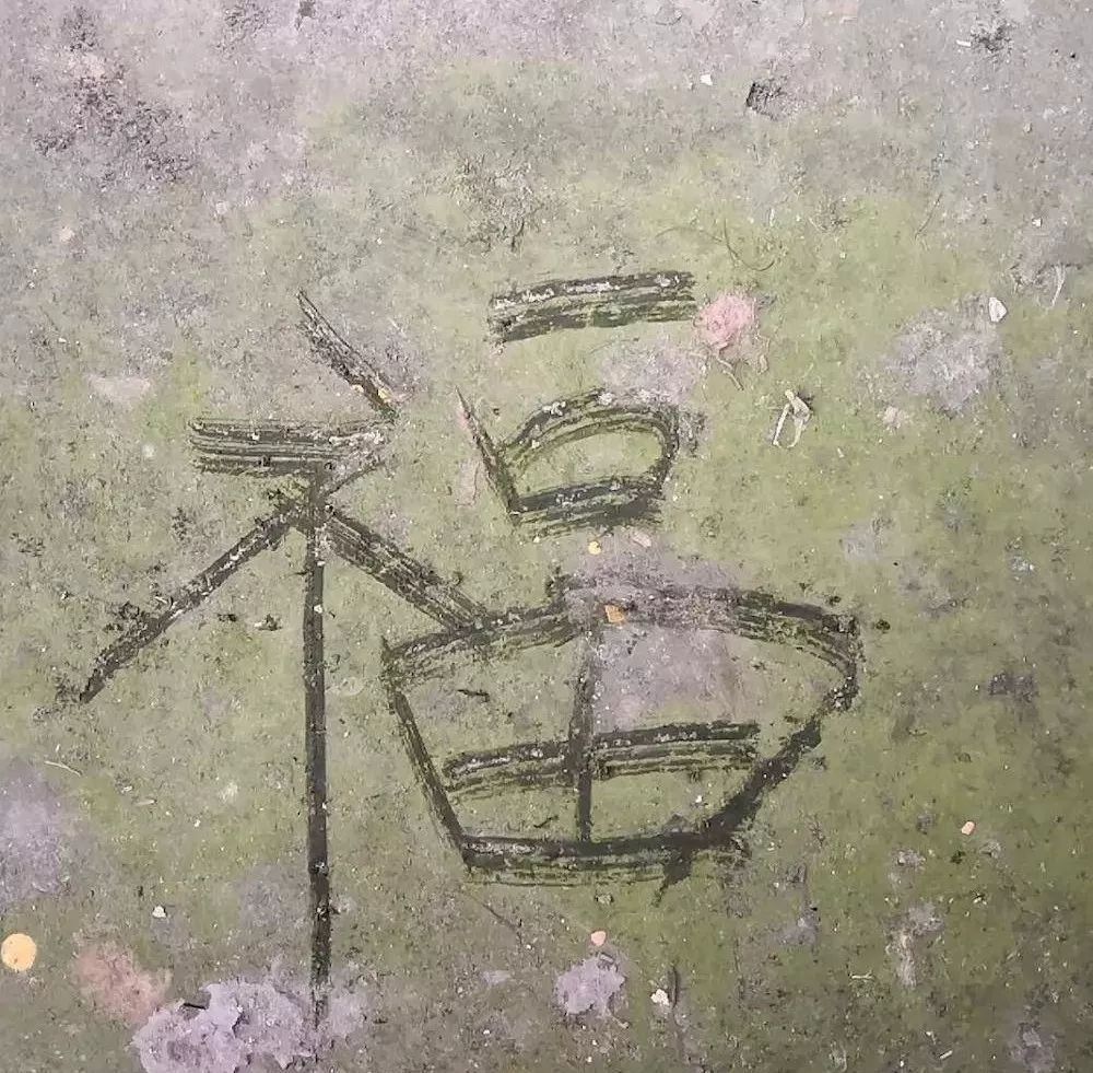 互联网改变我的家乡,你家乡的互联网怎样了