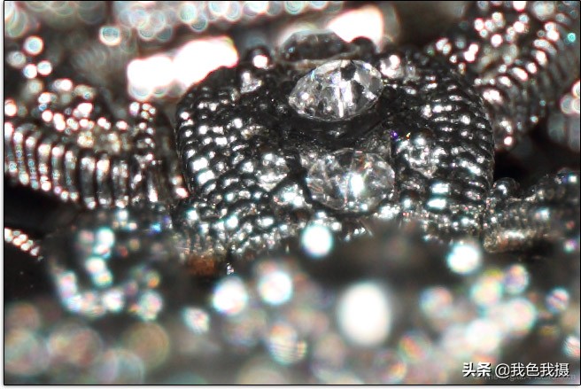 佳能EF600mmf/4LISIIIUSM镜头评测