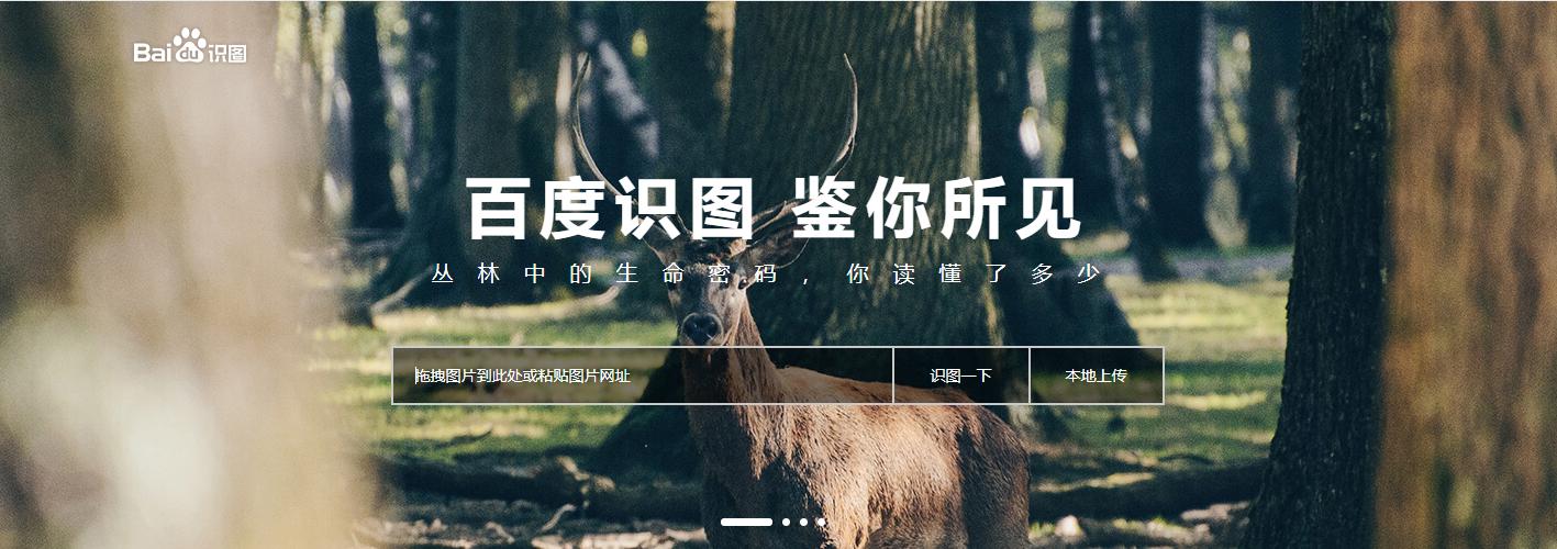 谷歌加扩展插件,谷歌插件下载图片