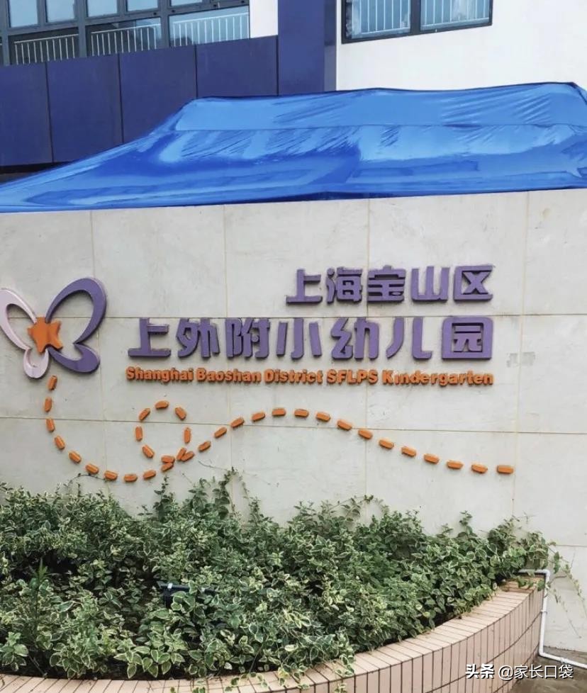 上海十大私立民办园,上海民办桃李园