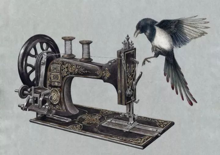 超好看的素描静物,超级惊艳的素描画