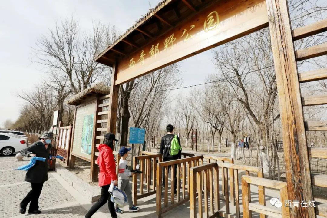 天津2022年四月开放的公园,期待天津这里将再添一片绿洲