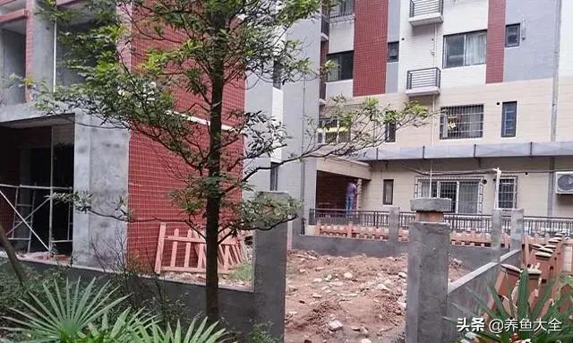 小桥流水制作全过程,小桥流水鱼缸造景技巧