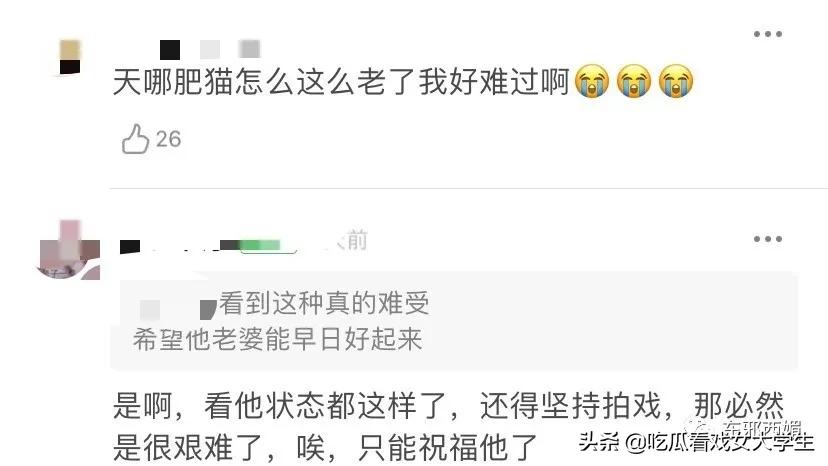 肥猫的真实样子,大家还记得这只很馋的小猫吗