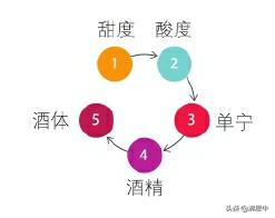 通过自己品鉴好喝的红酒,怎样品尝出红酒的年份