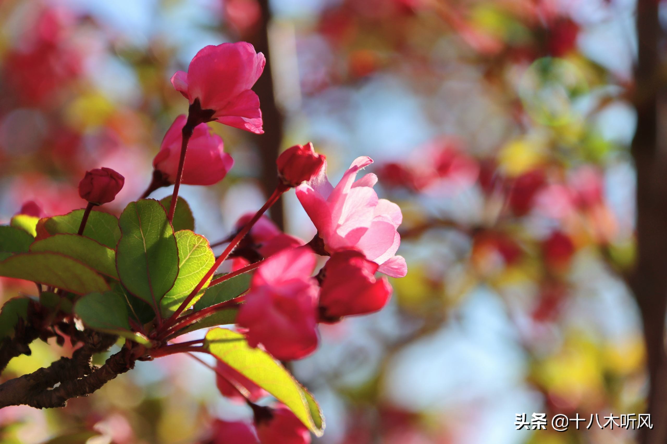 硕士论文盲审成绩能改吗,毕业论文盲评不过怎么办