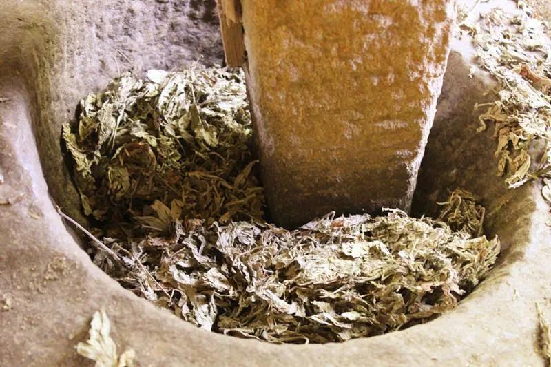 艾绒和艾条有什么区别,艾条的艾绒越精细越好