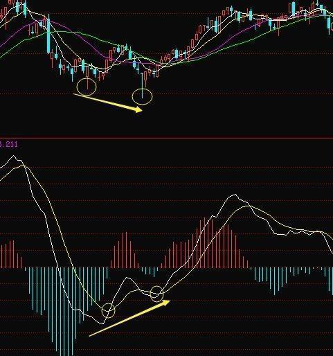 一位北大女博士谈股票,北大一个女博士演讲