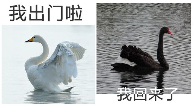 夏天出汗脱妆怎么办补妆,夏天避免脱妆的7个小技巧