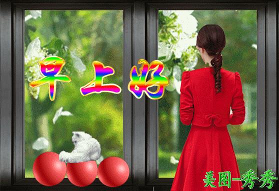 问好表情包｜我喜欢你，像日月轮流交替，不理朝夕