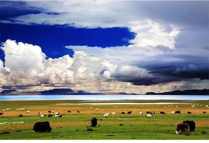 小学作文写作技巧与讲解课,小学作文写作技巧介绍自己