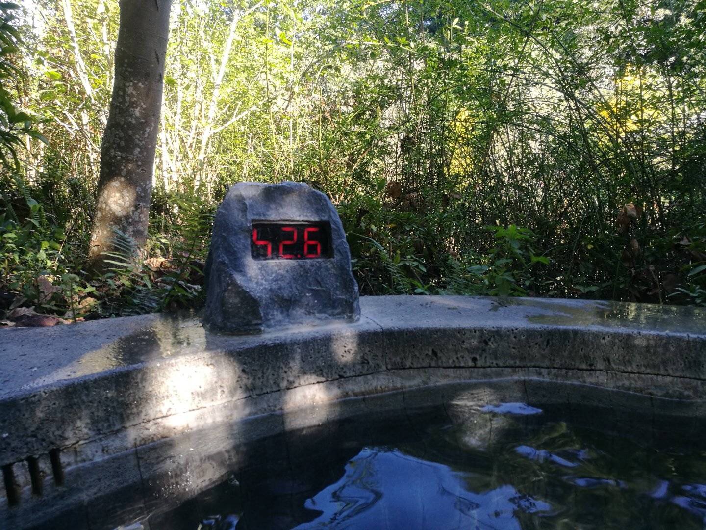 2023腾冲看银杏最佳时间,腾冲看银杏树旅游攻略