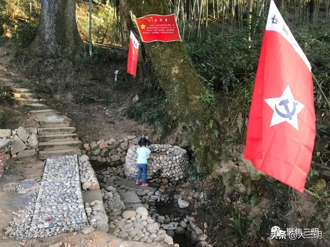 中国最美三明旅游线路,中国绿都泰宁最氧三明