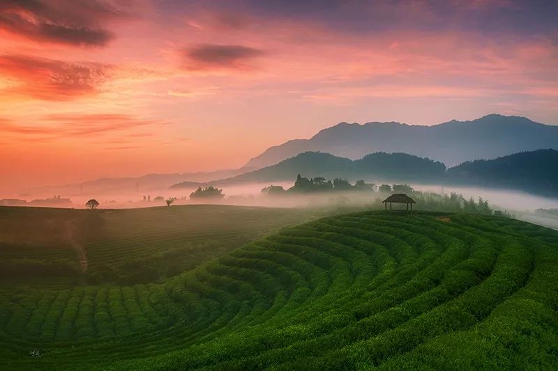 为什么杭州最具幸福感,杭州为什么是个幸福的城市