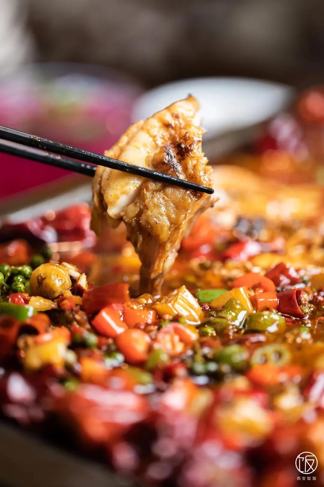 屁屁猩拍了拍你，并递出一张50团100代金券