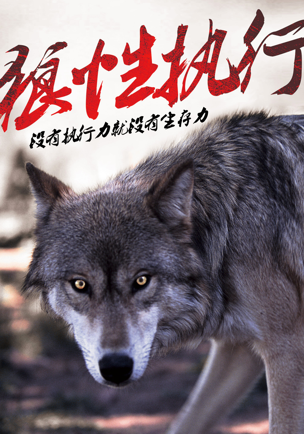 打造狼性团队领导要做到这六点,打造狼性团队领导要做到这6点