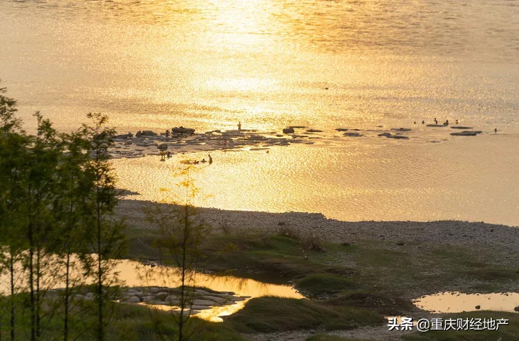 王盘对王盘！重庆楼市首次爆款巅峰对话