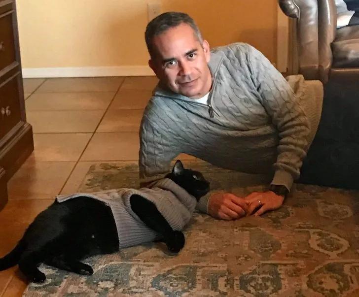 氛围感治愈温柔猫咪图片2张,带有人物与猫咪的温馨治愈图