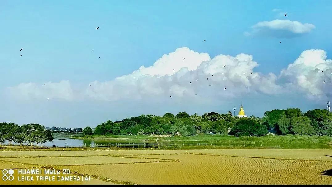 乌本桥诗词,乌本桥视频完整版