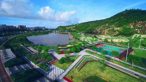 珠海公园森林风景,珠海公园美景视频