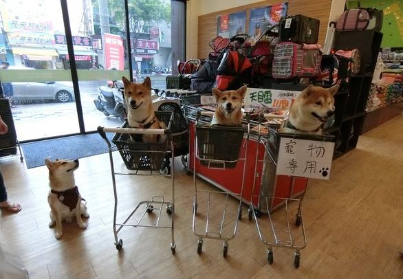 被挑衅最后忍无可忍后续,被挑衅到忍无可忍