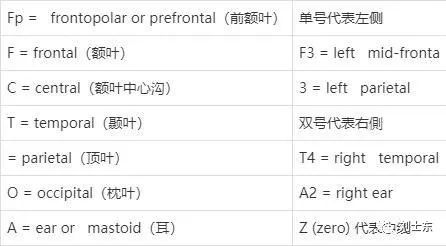 脑电图基础知识入门,脑电图基础知识讲解