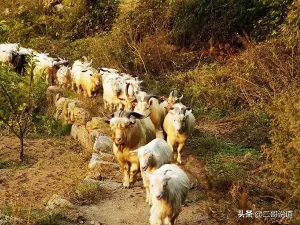 密云探寻历史足迹,密云发现神秘遗址