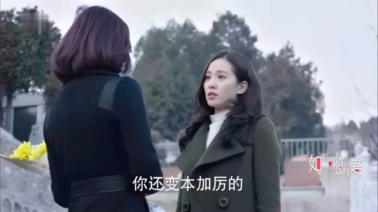 看电视学成语,看电视学习成语