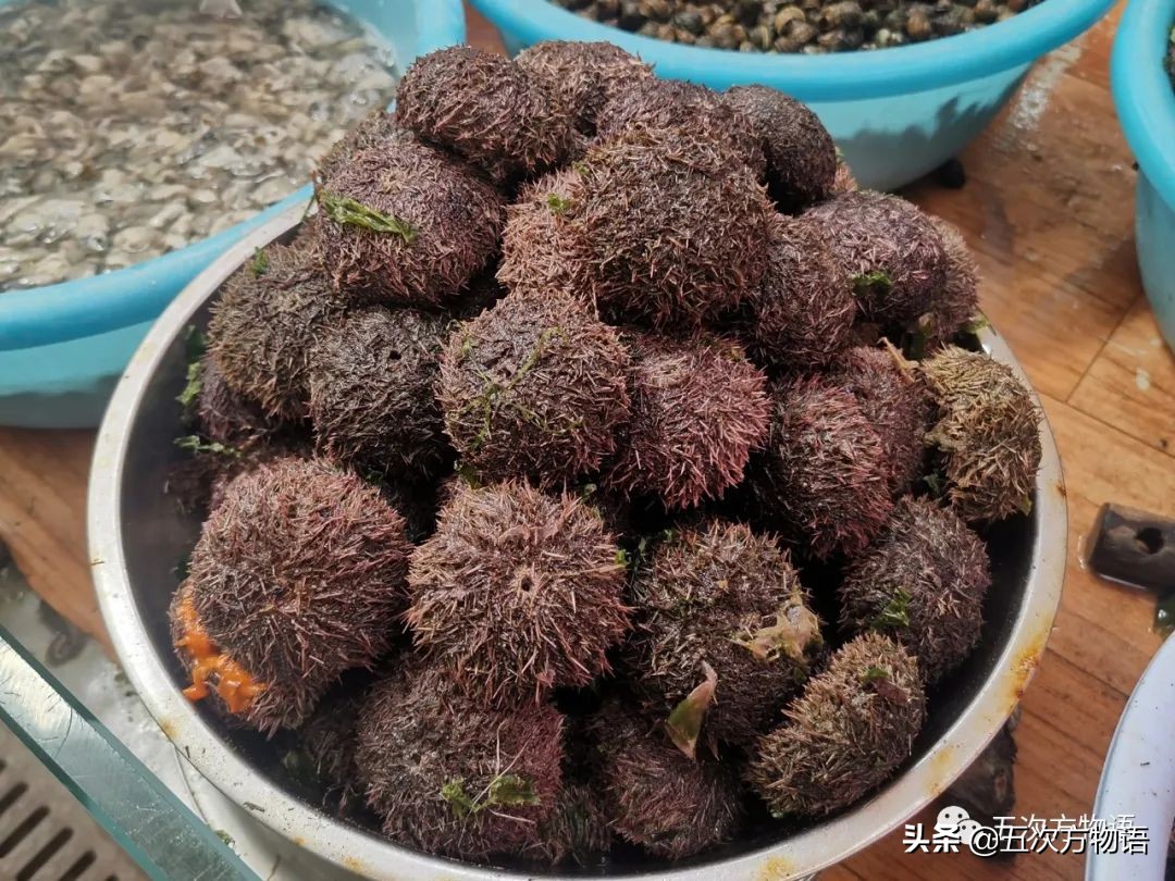 青岛海鲜市场价格表今日,青岛哪个农贸市场海鲜最便宜又好