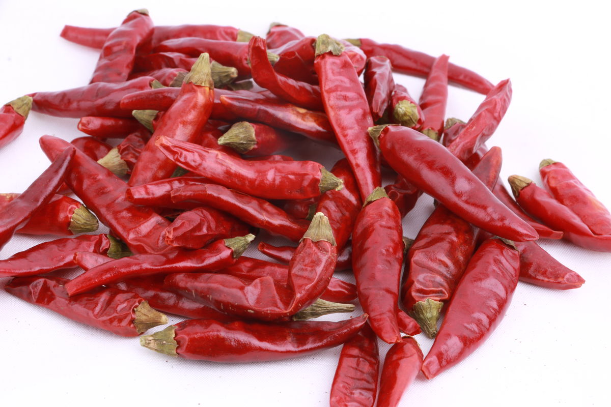 中国最辣的辣椒出自贵州吗,四川最辣的辣椒是什么