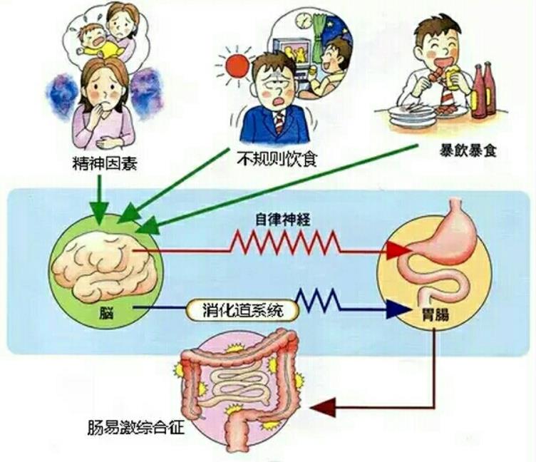 为什么每次想拉大便就有点紧张,为什么身体不适就会拉大便