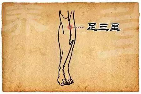 改善脾胃虚寒的菜,艾灸改善脾胃虚寒一般要多久