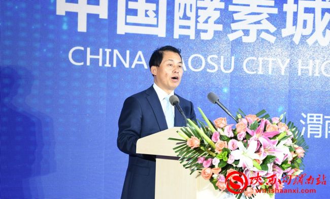 中国酵素城起航,中国酵素城座谈会