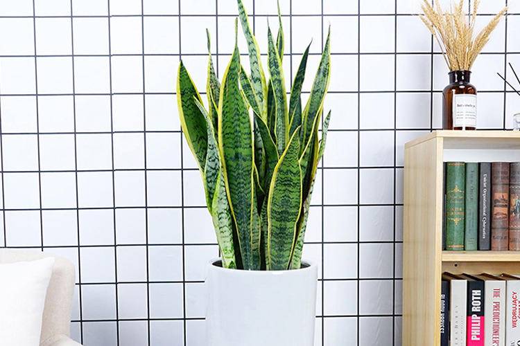 空调房保湿,空调房保湿原来如此简单