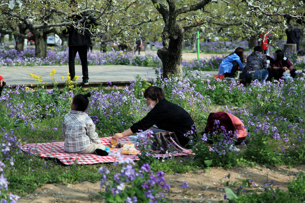 春游江淮请你来滁州版,春游江淮等您来