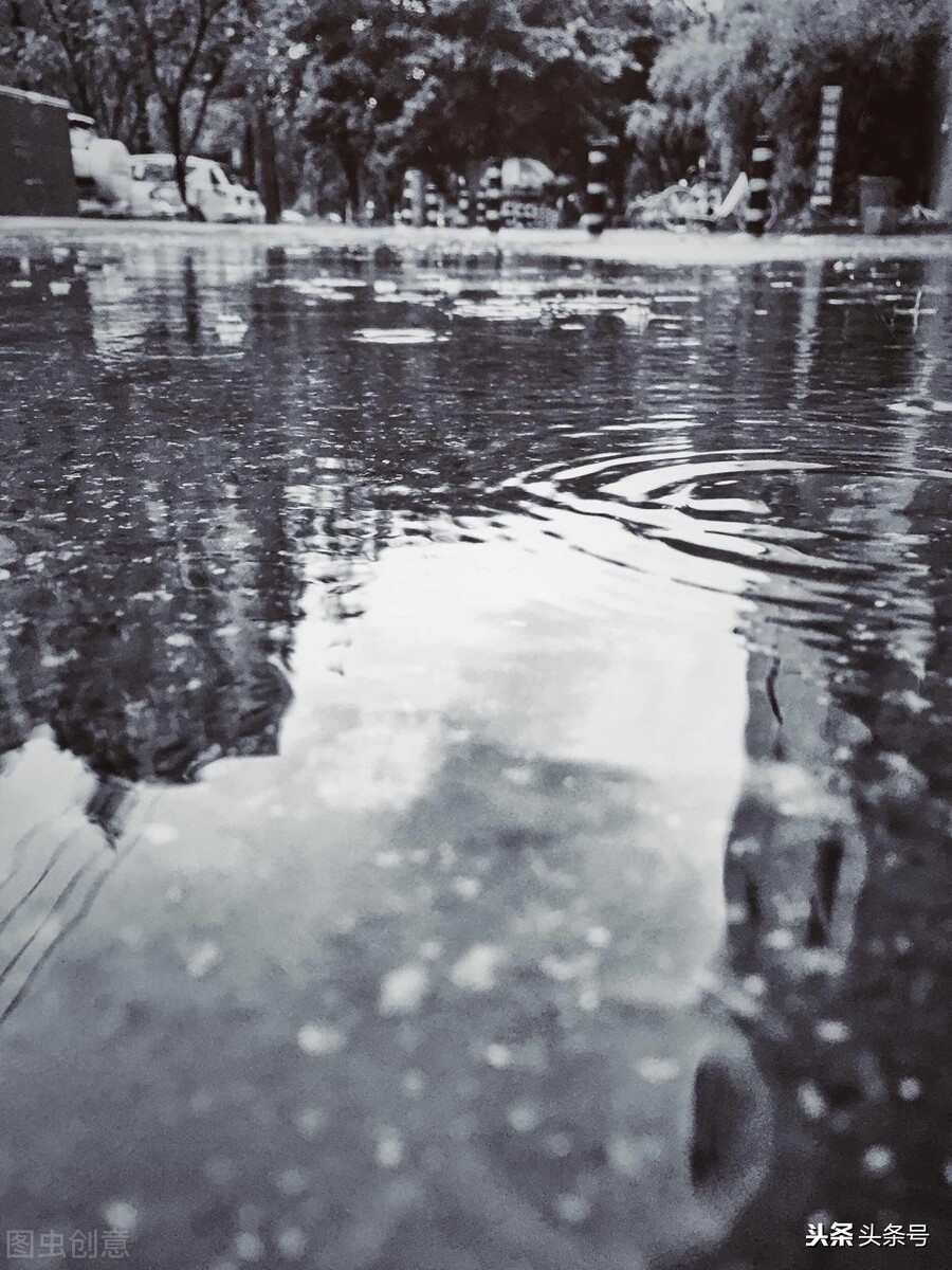 下雨天鸡用啥药预防,高温天气鸡容易得什么病