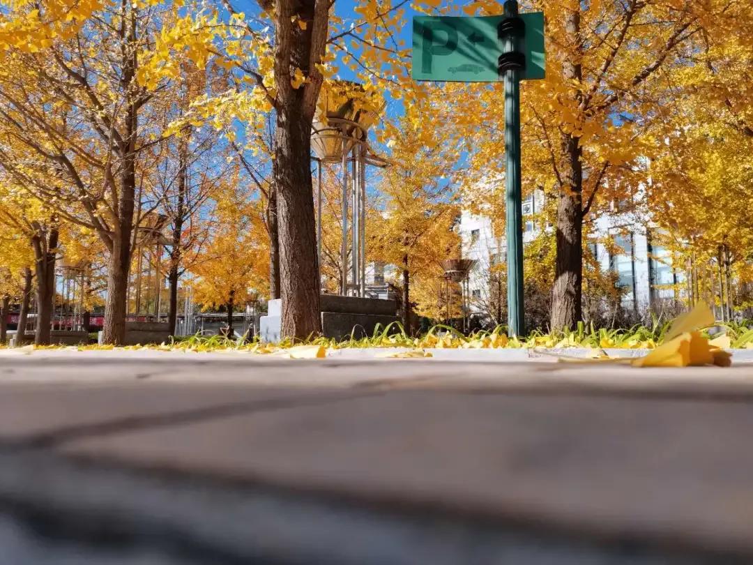 沈阳理工大学辽宁工程技术大学,沈阳理工大学专科院校