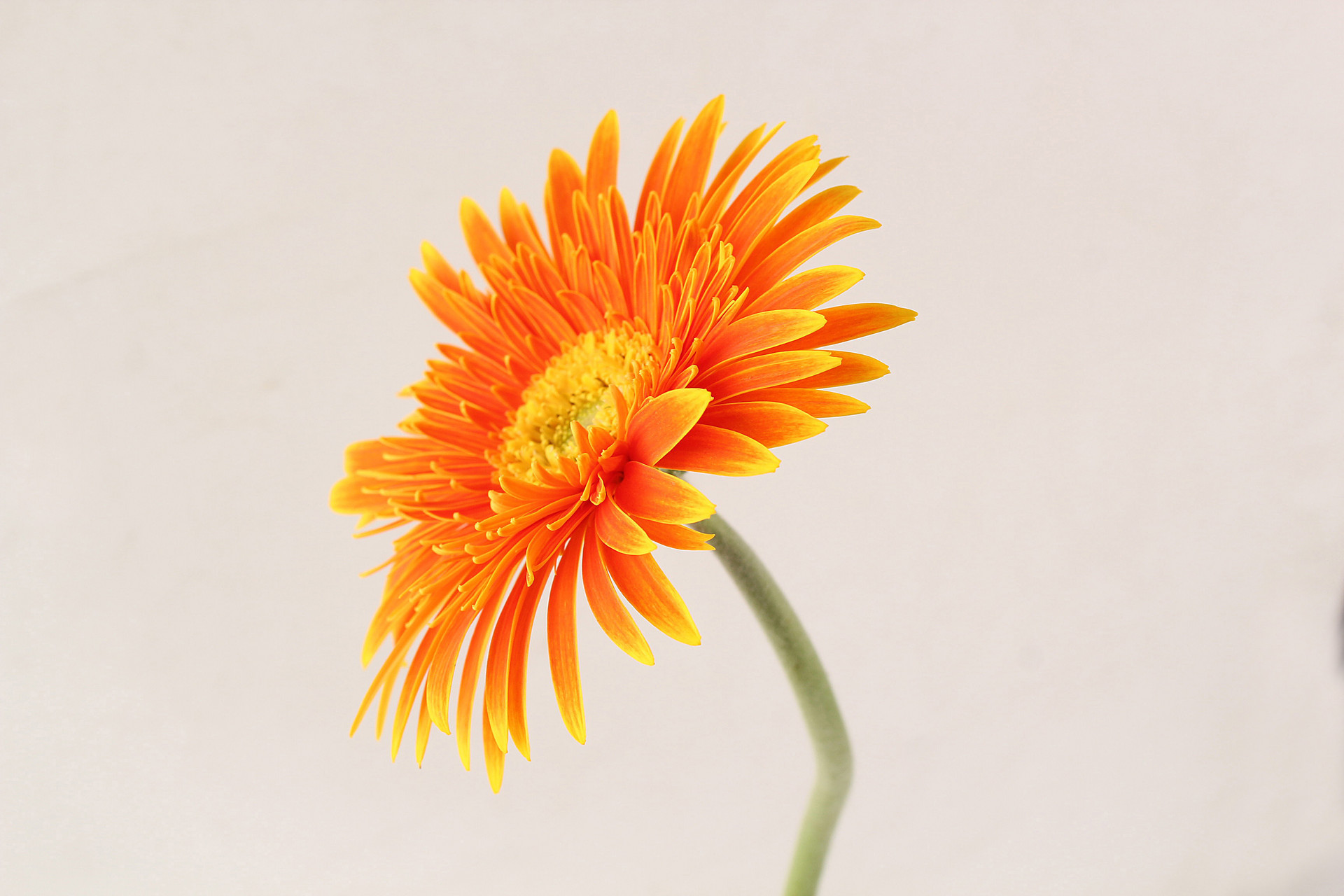 有缘的人有感应,有缘的人会有心灵感应